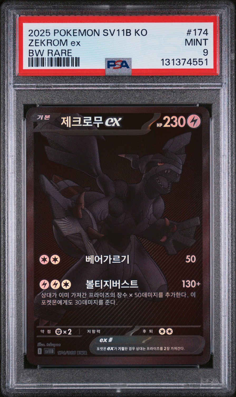 ZEKROM ex