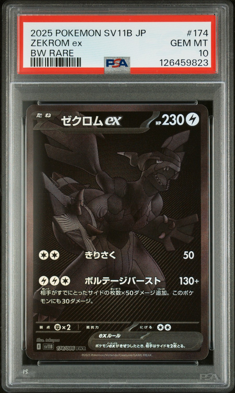 ZEKROM ex