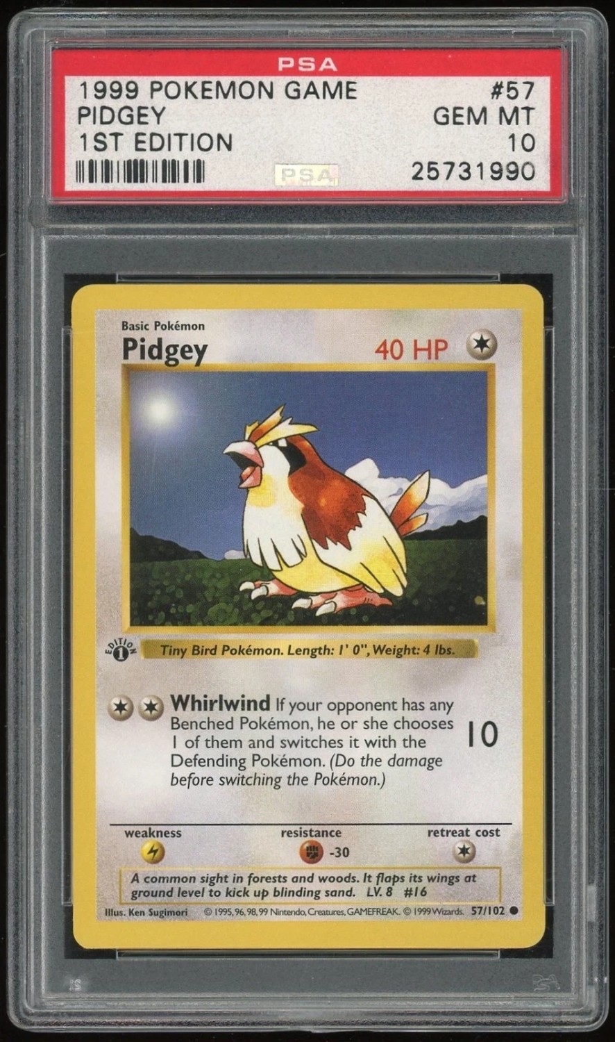 PIDGEY