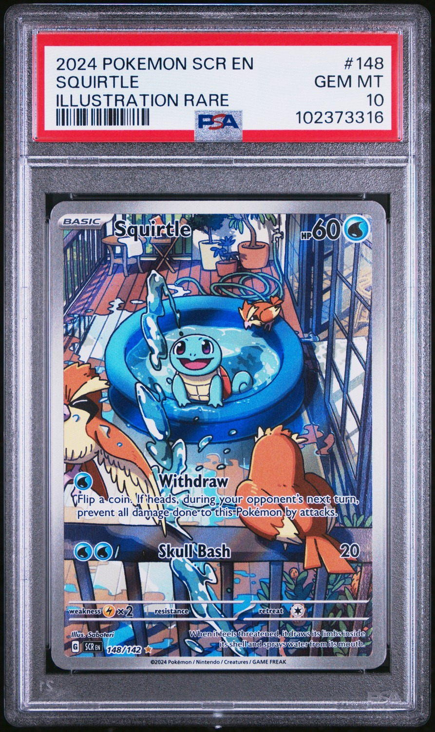 Squirtle