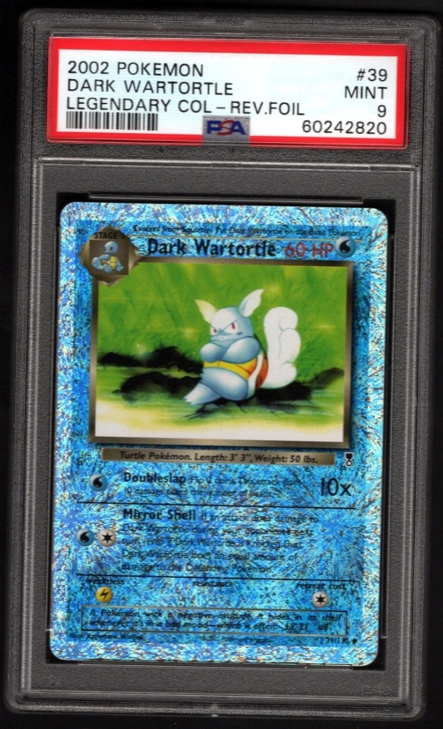 Dark Wartortle