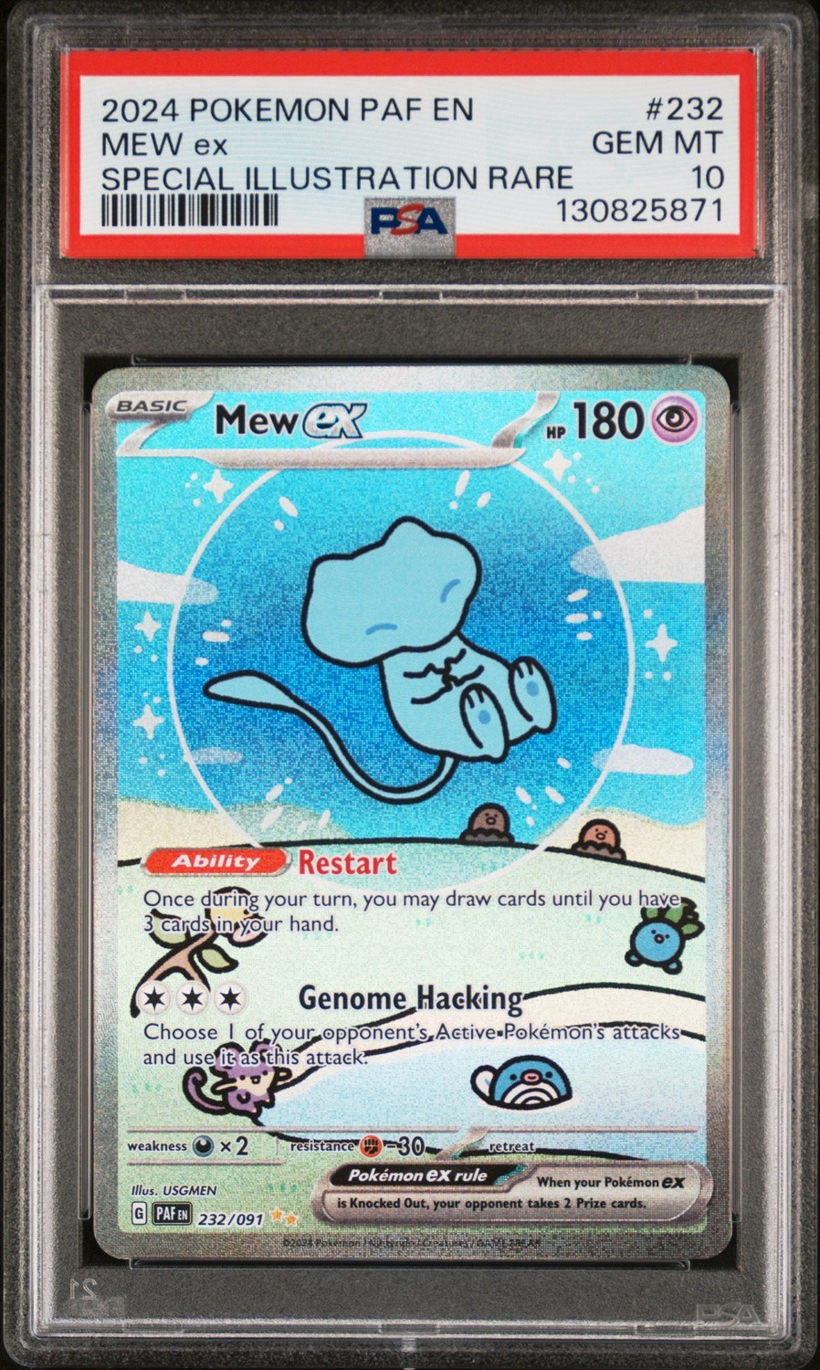 MEW ex