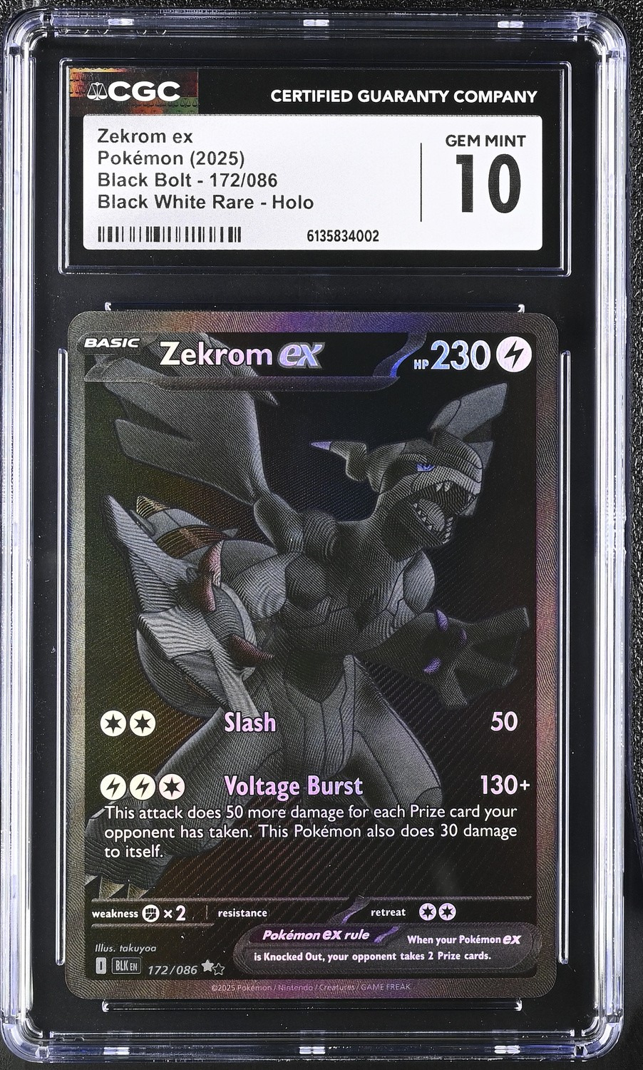 ZEKROM ex