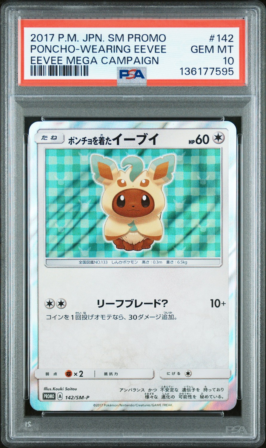 Poncho-Wearing Eevee