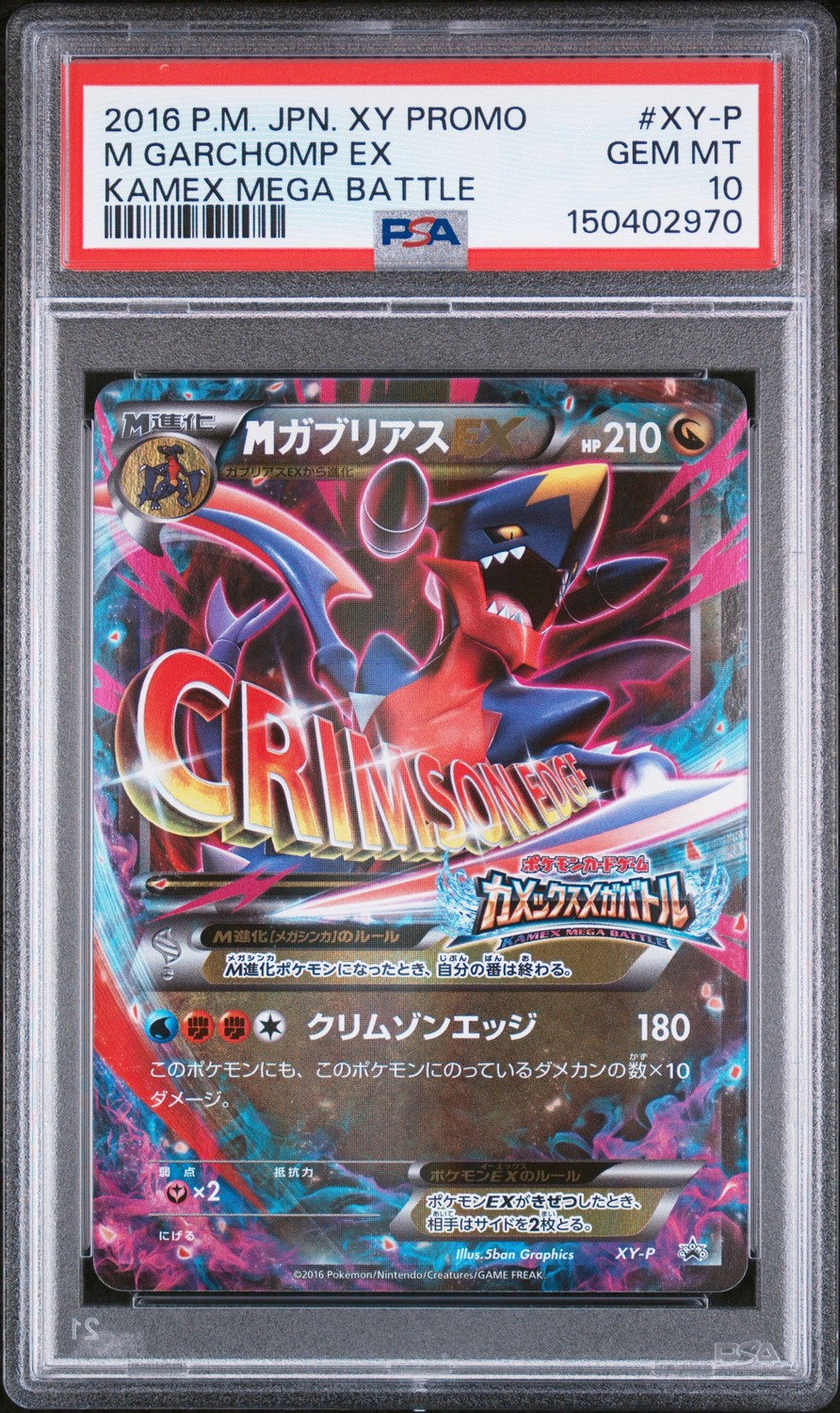 M Garchomp EX