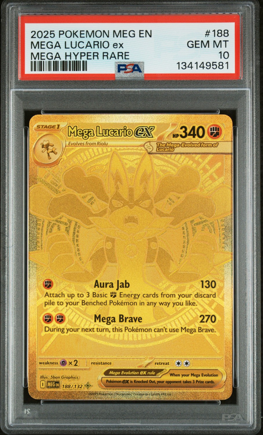 MEGA LUCARIO ex