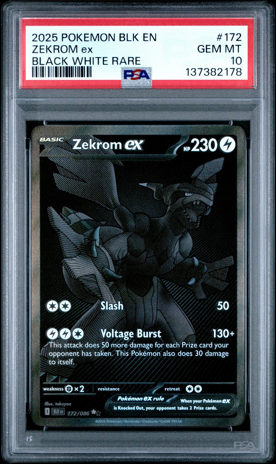 ZEKROM ex
