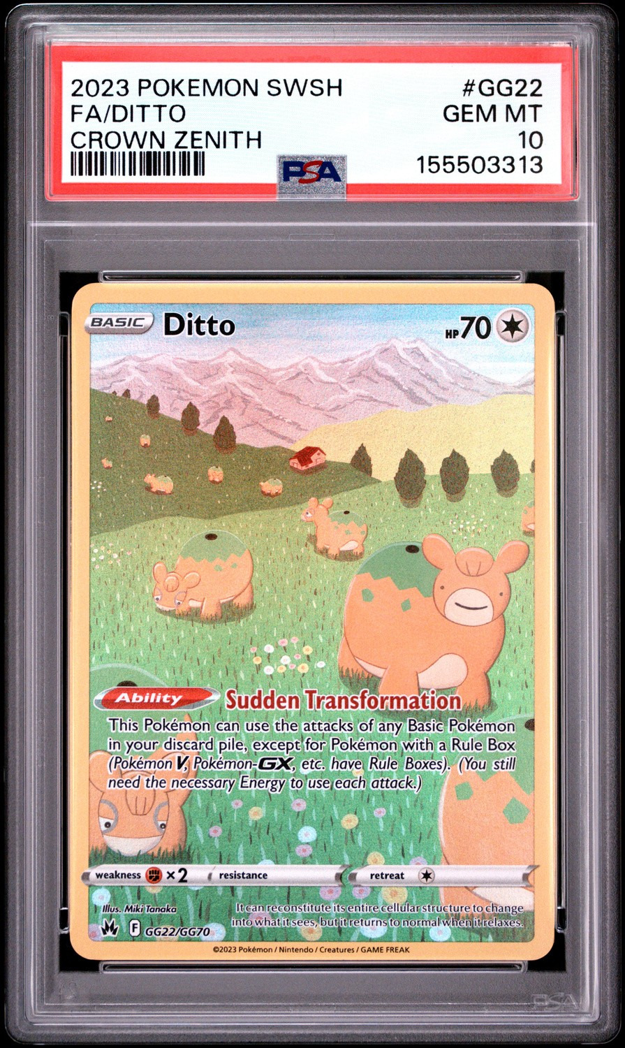 Ditto
