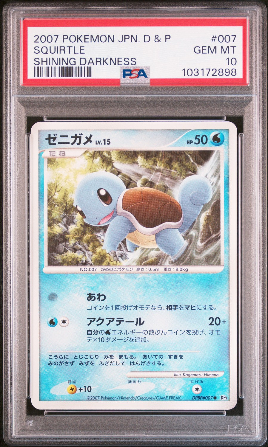 Squirtle
