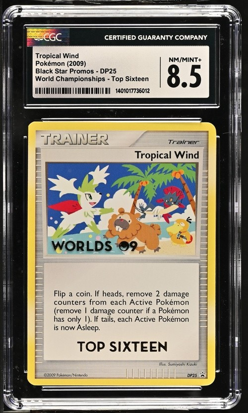Tropical Wind
