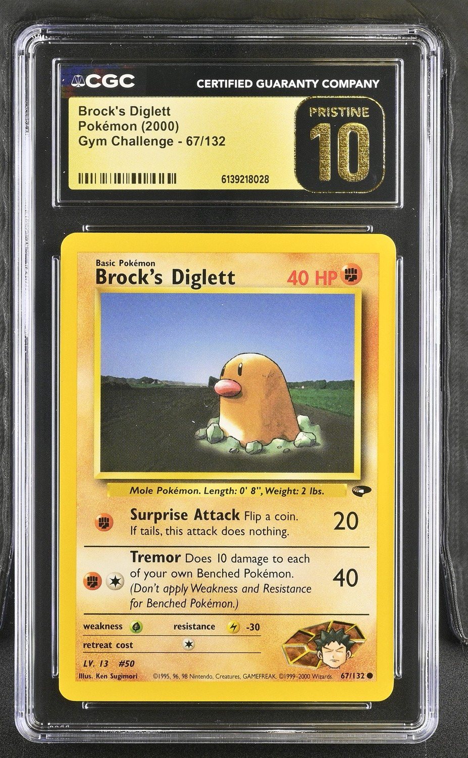 Brock's Diglett