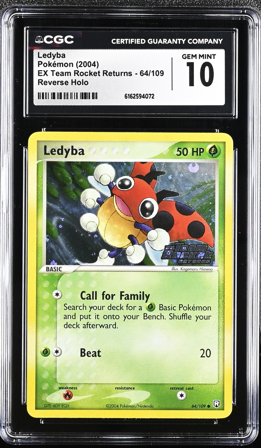 Ledyba