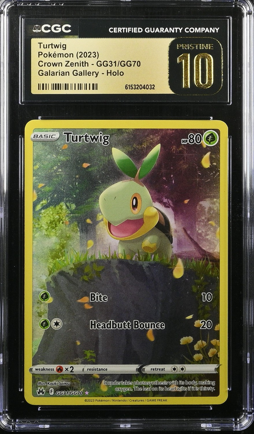 FA/TURTWIG