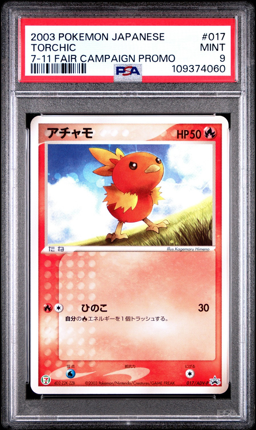 Torchic