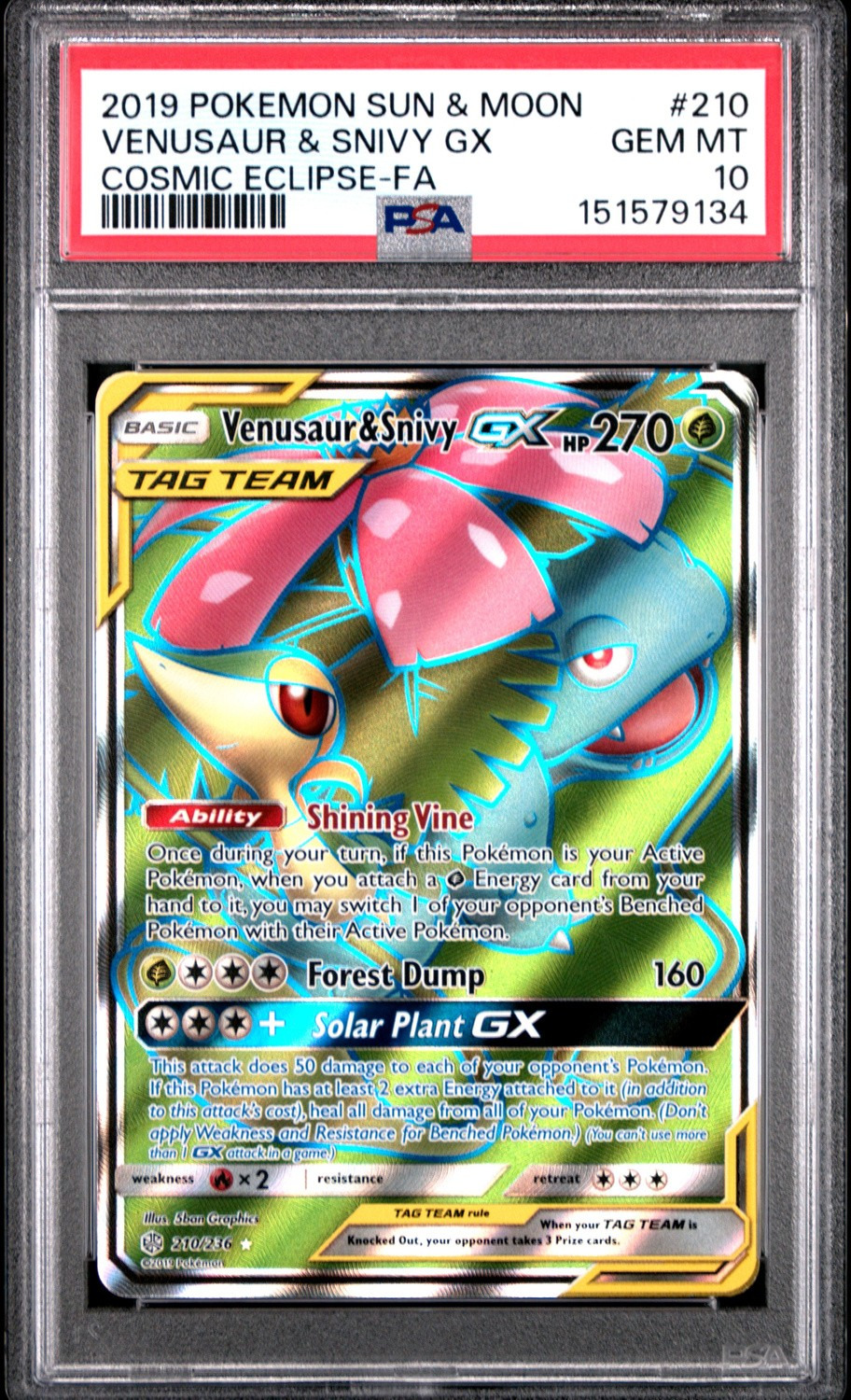 Venusaur & Snivy GX