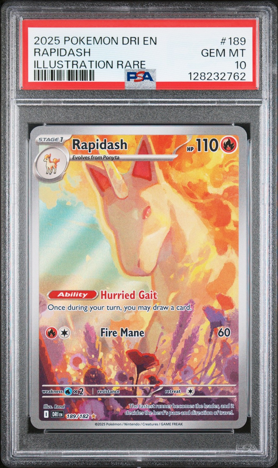 Rapidash
