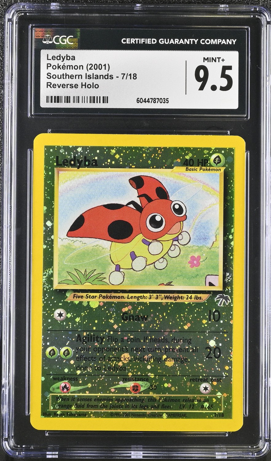 Ledyba