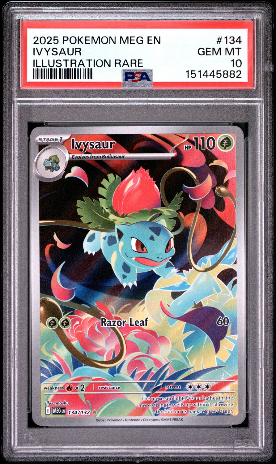 IVYSaur