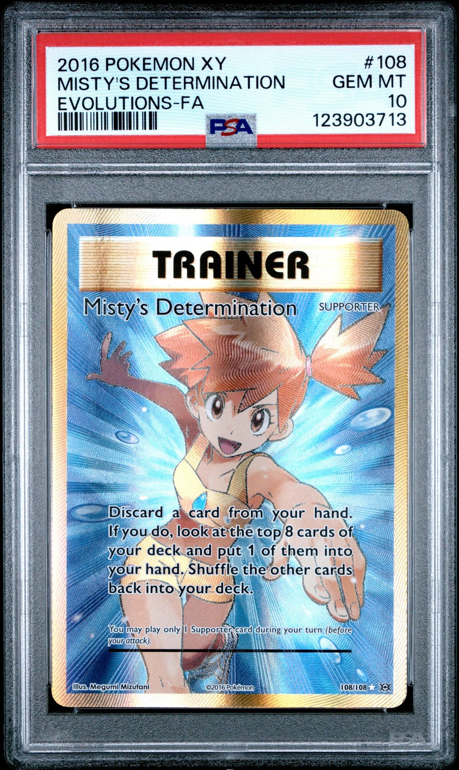 Misty's Determination
