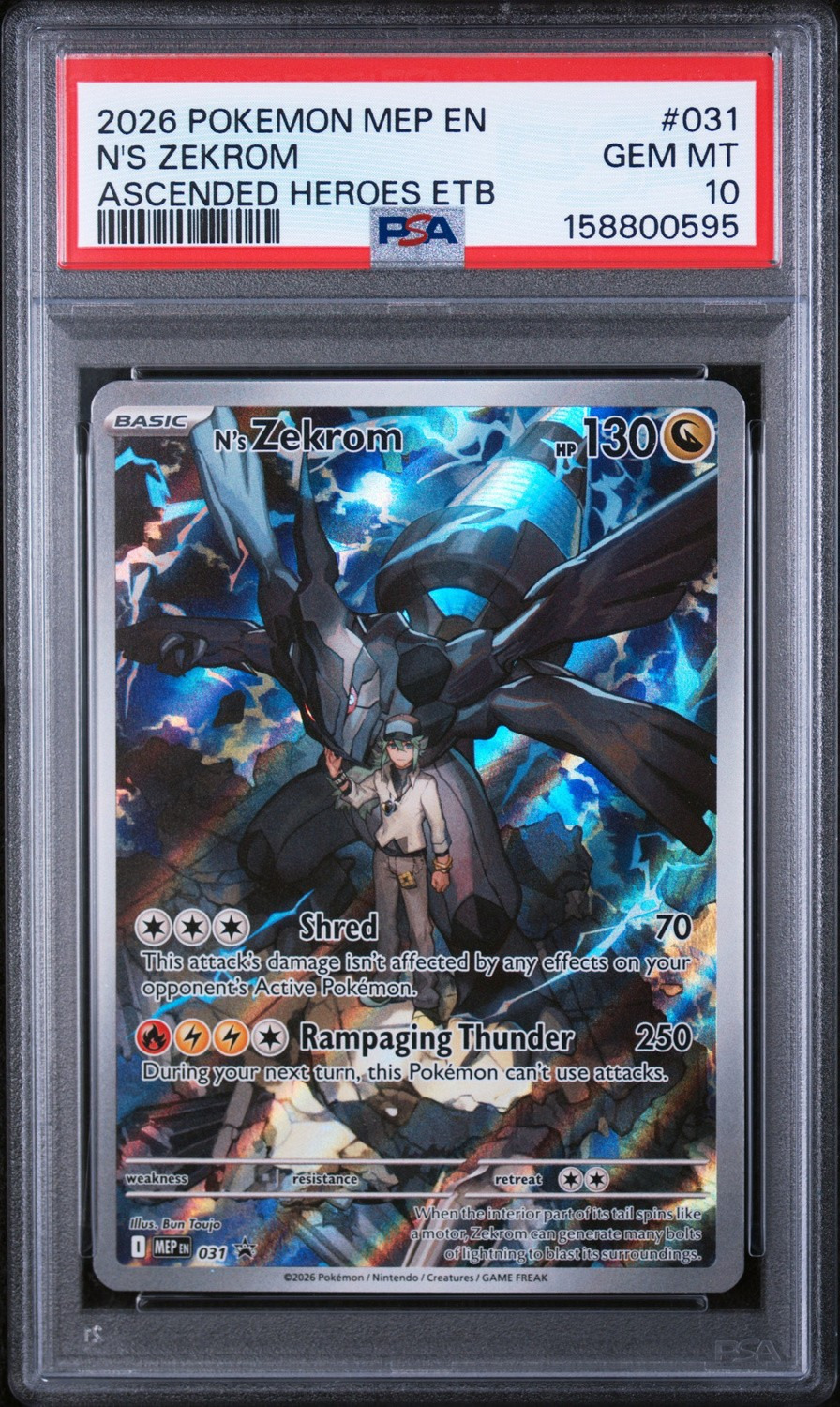 N's Zekrom