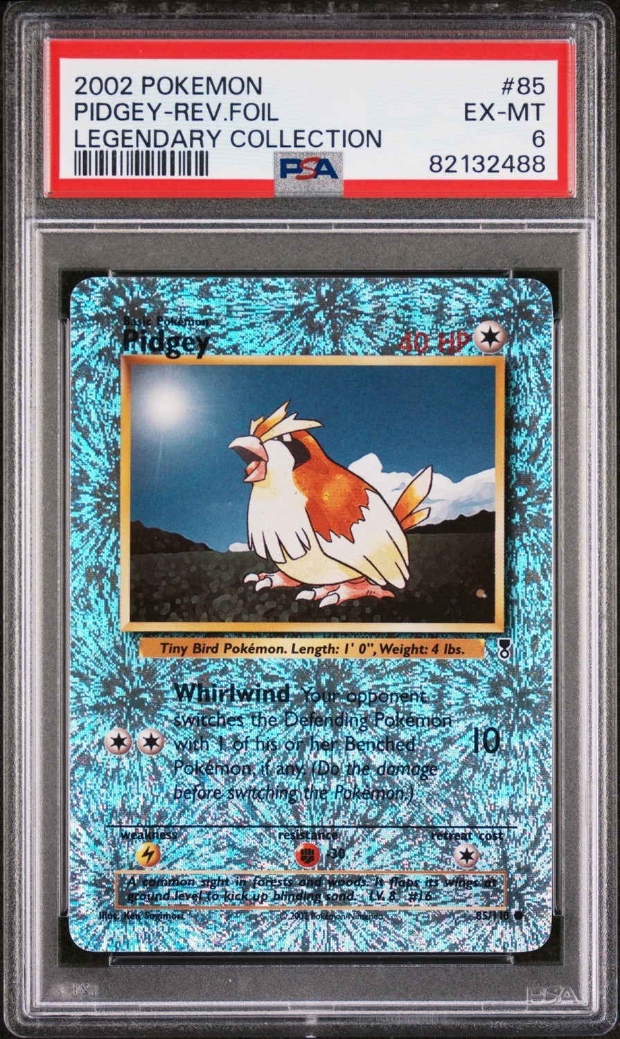 Pidgey