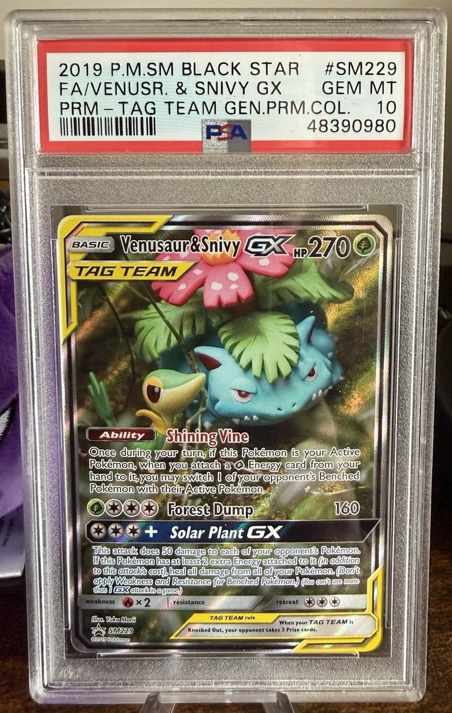 Venusaur & Snivy GX