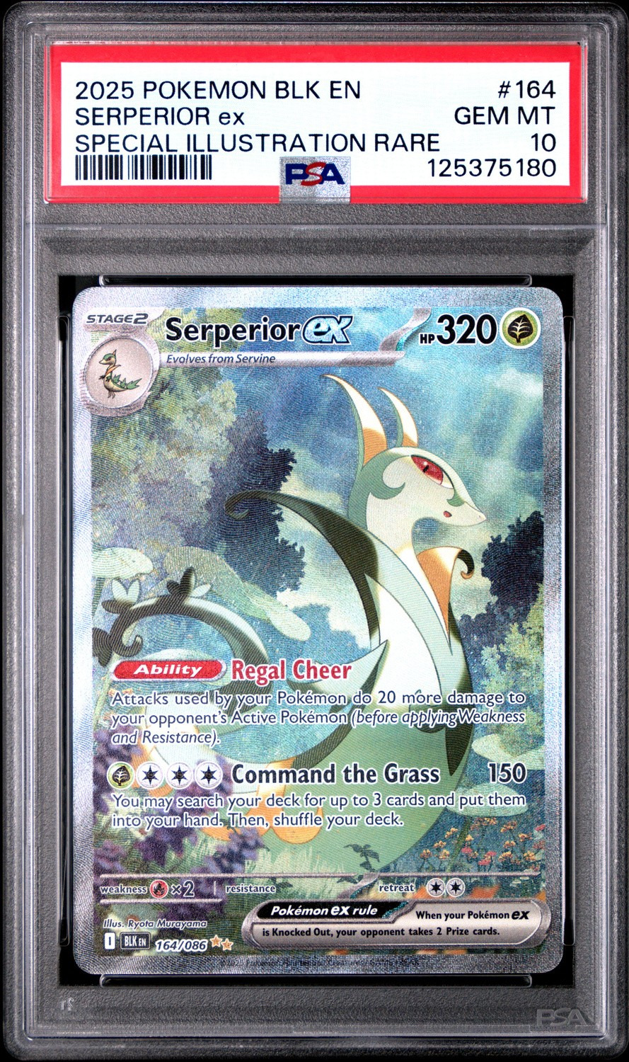SERPERIOR ex