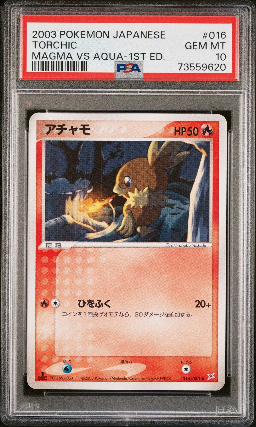 Torchic