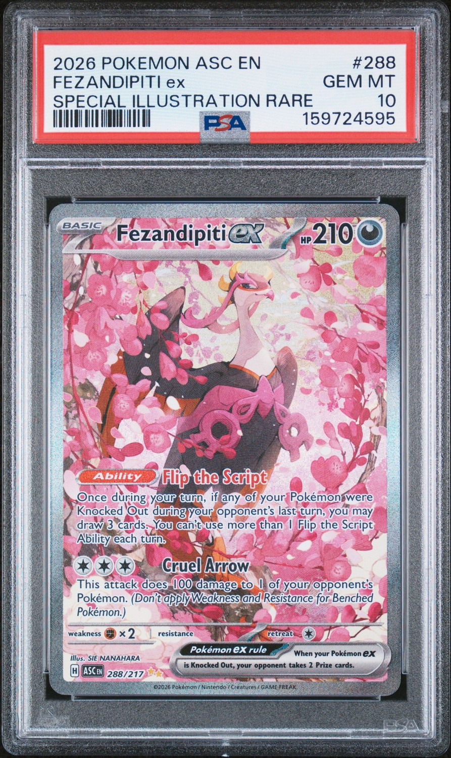 FEZANDIPITI ex