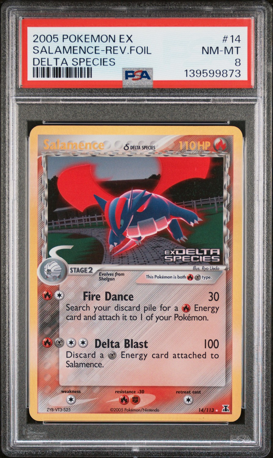 Salamence