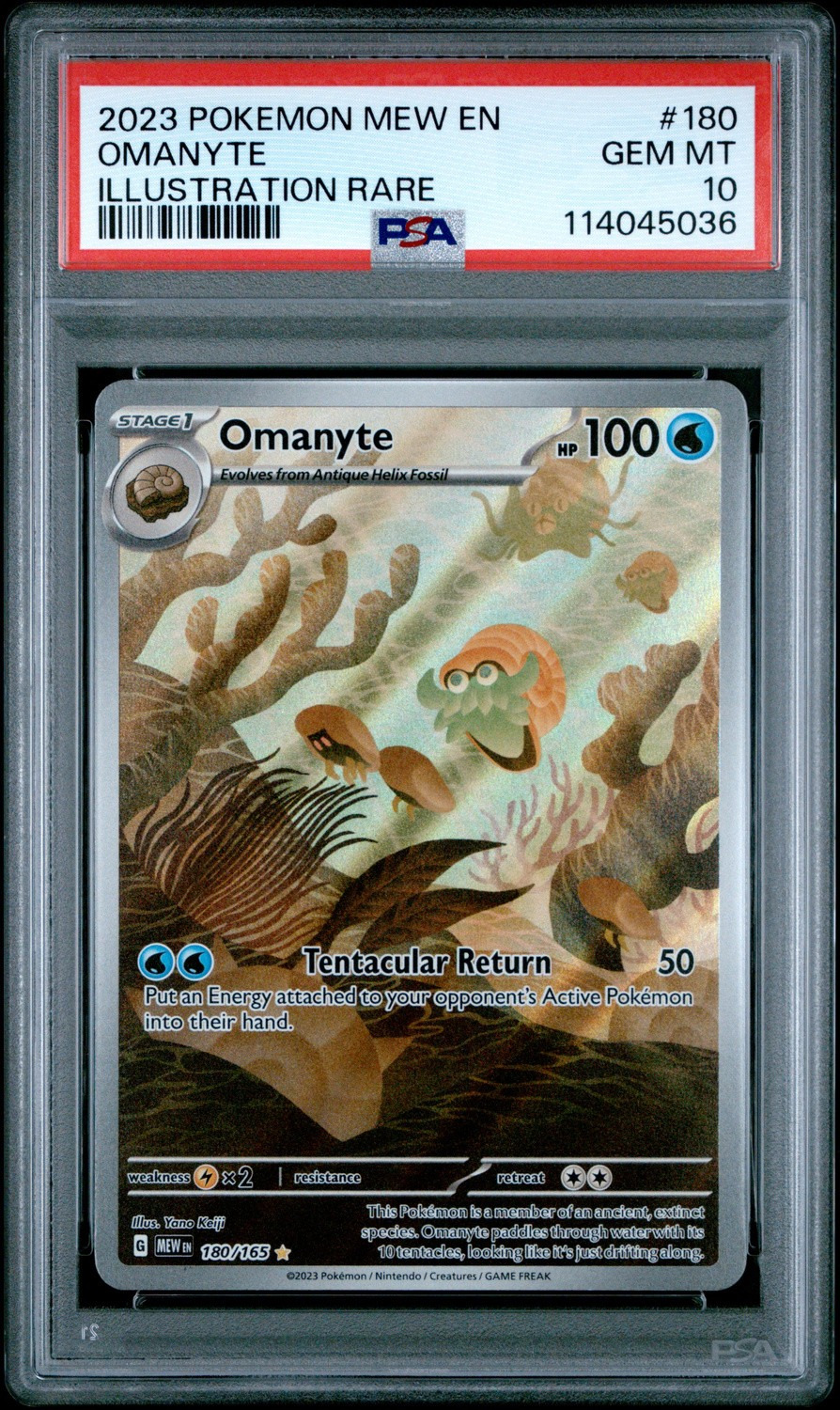 Omanyte
