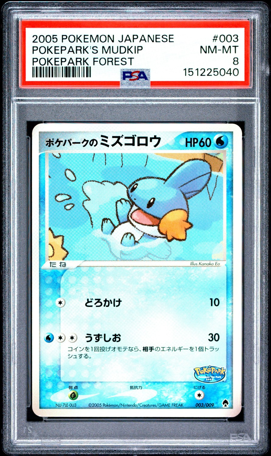 Pokepark's Mudkip