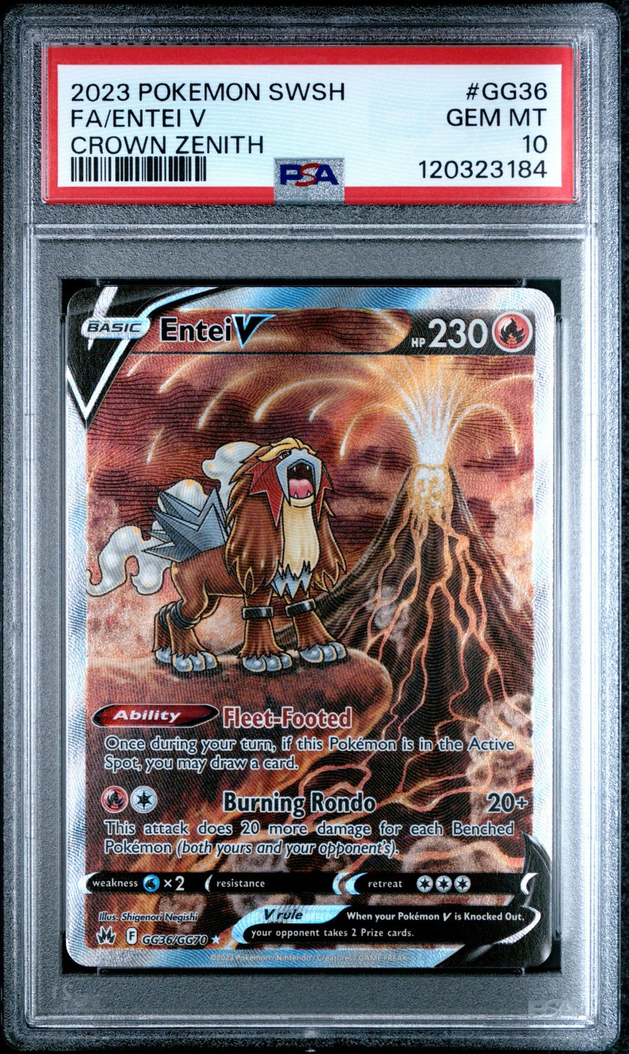 Entei V