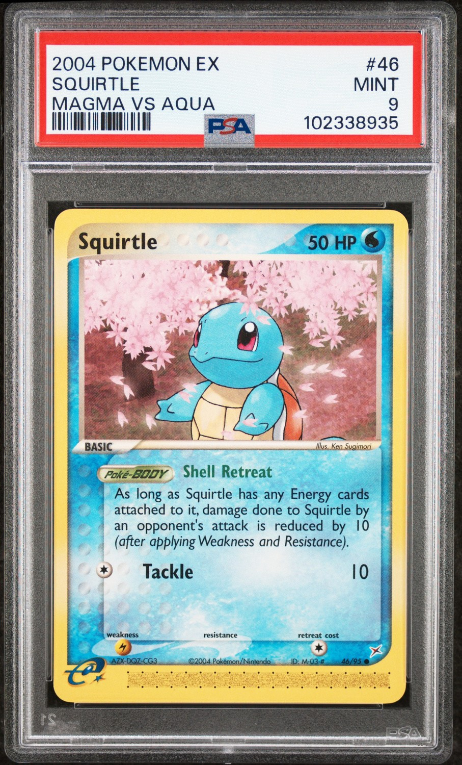 Squirtle