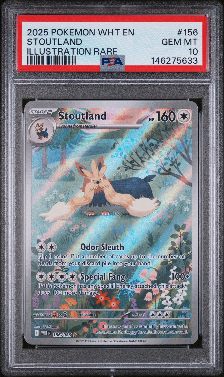 Stoutland