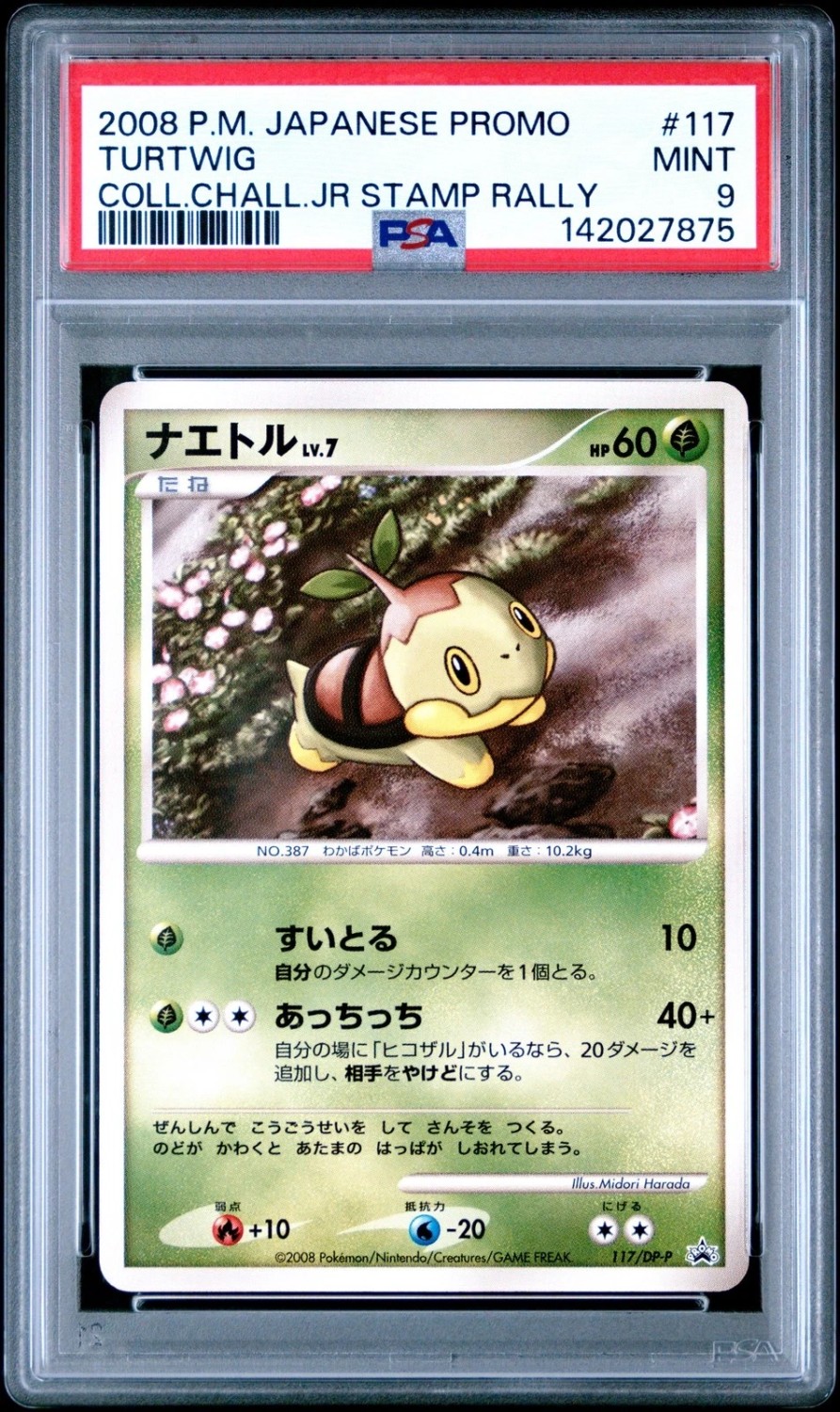 Turtwig