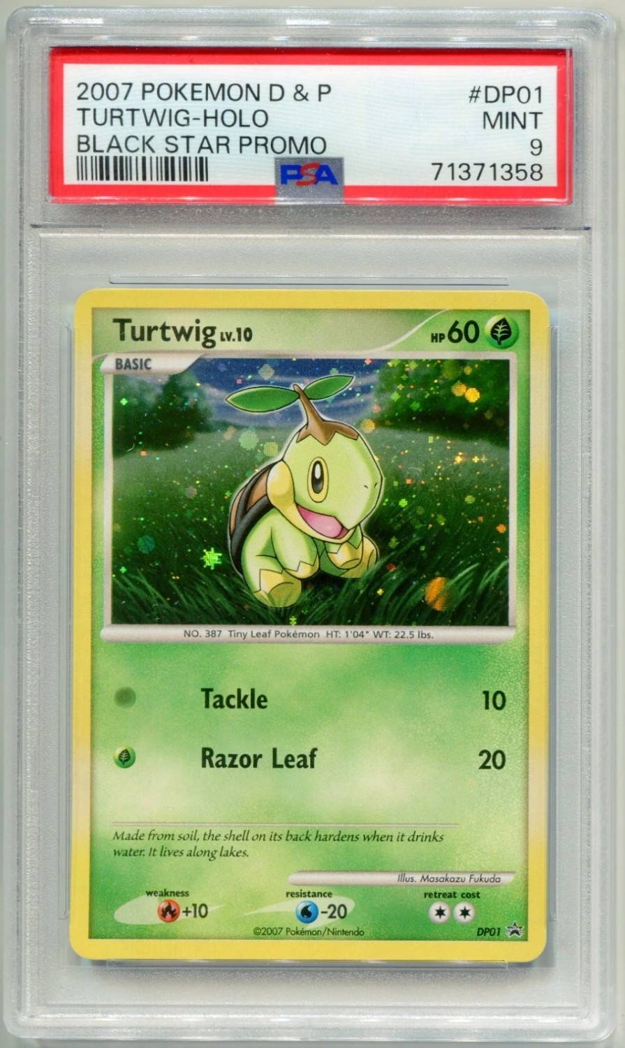 Turtwig