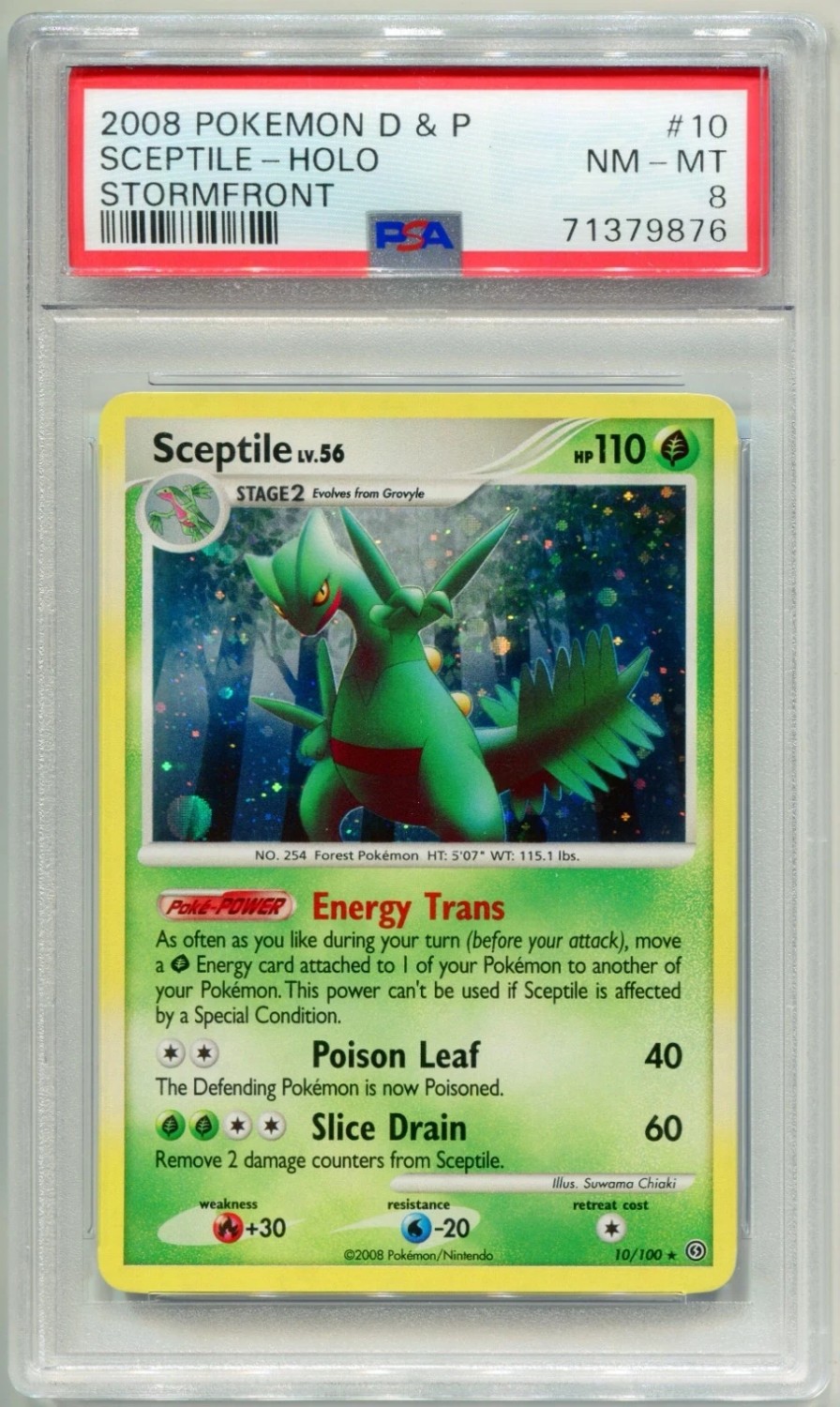Sceptile