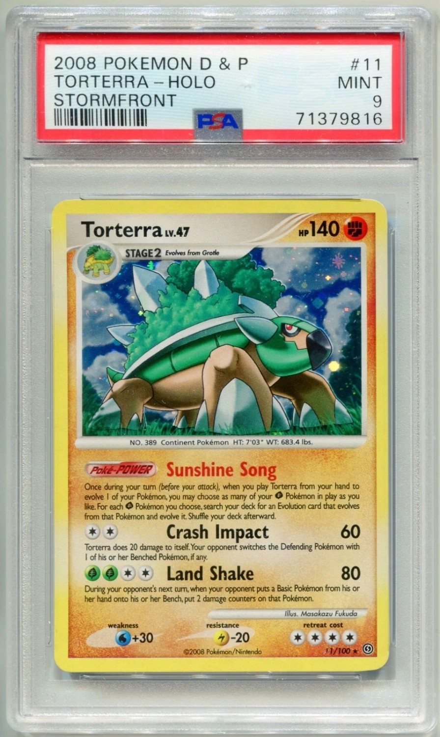 Torterra