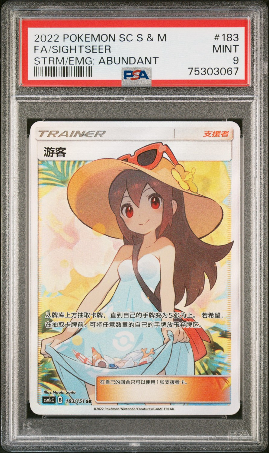 Sightseer