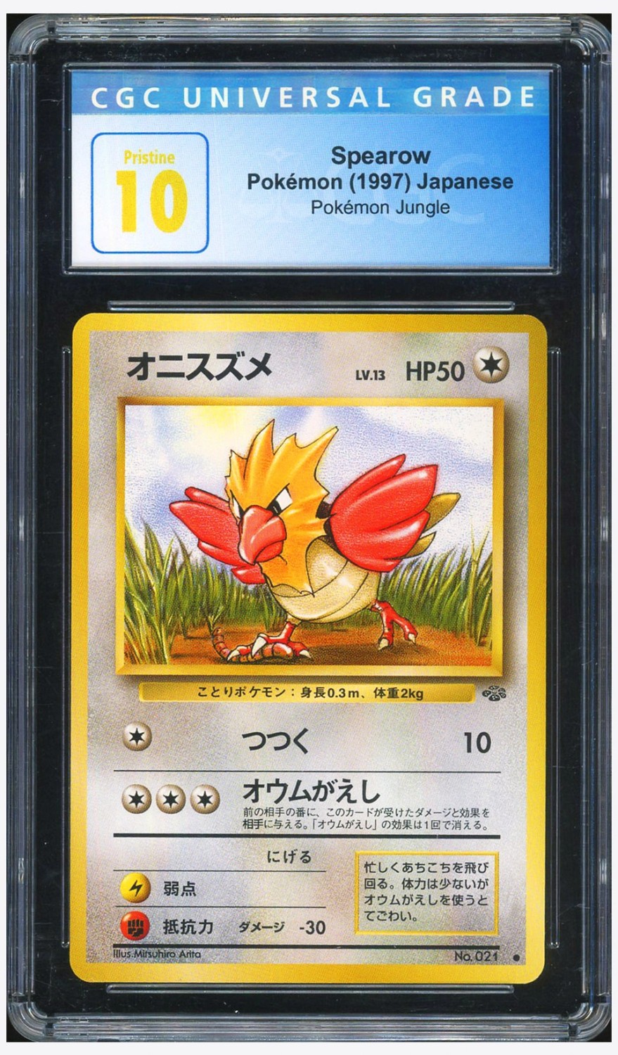 Spearow