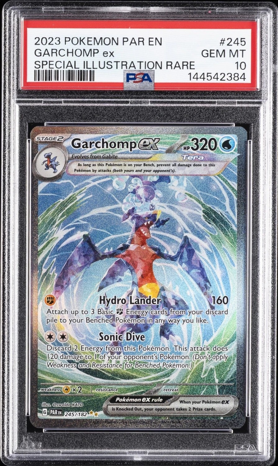 GARCHOMP ex