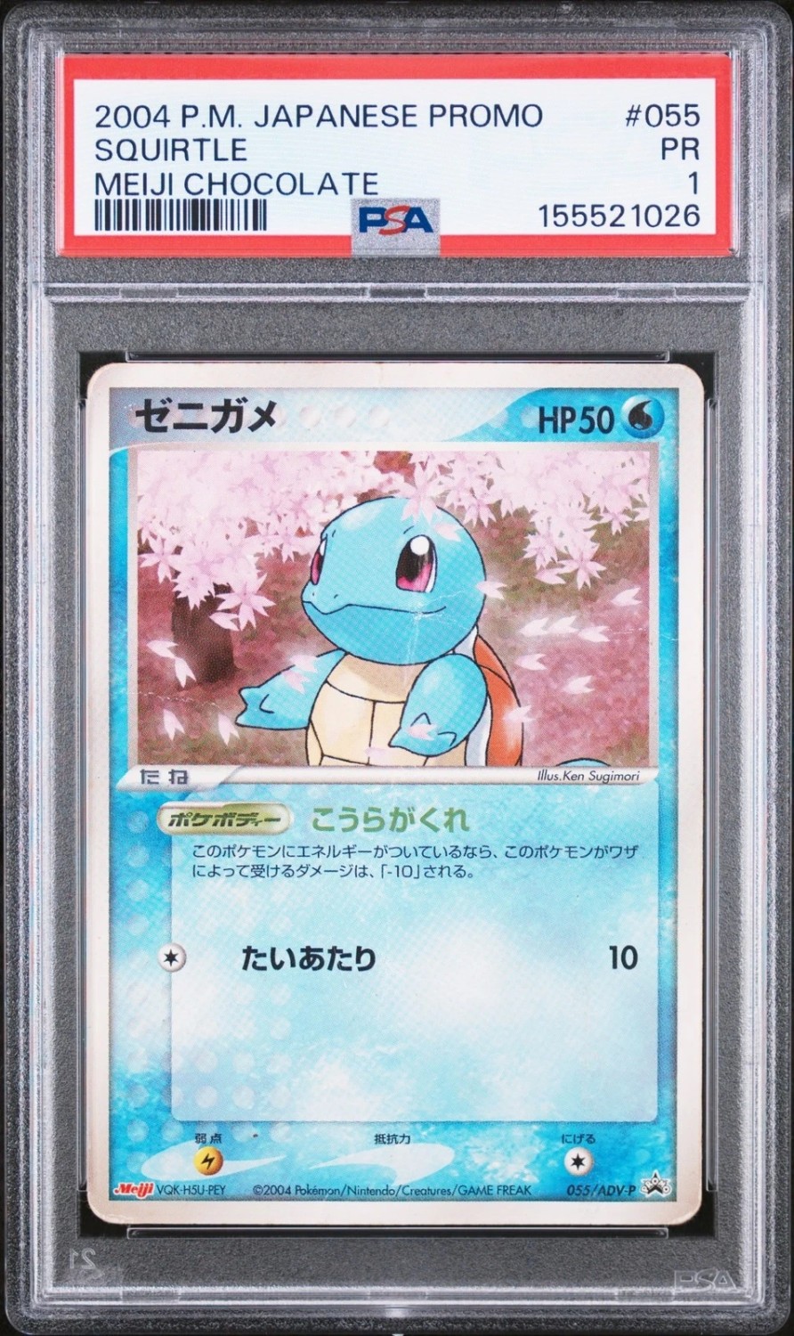 Squirtle