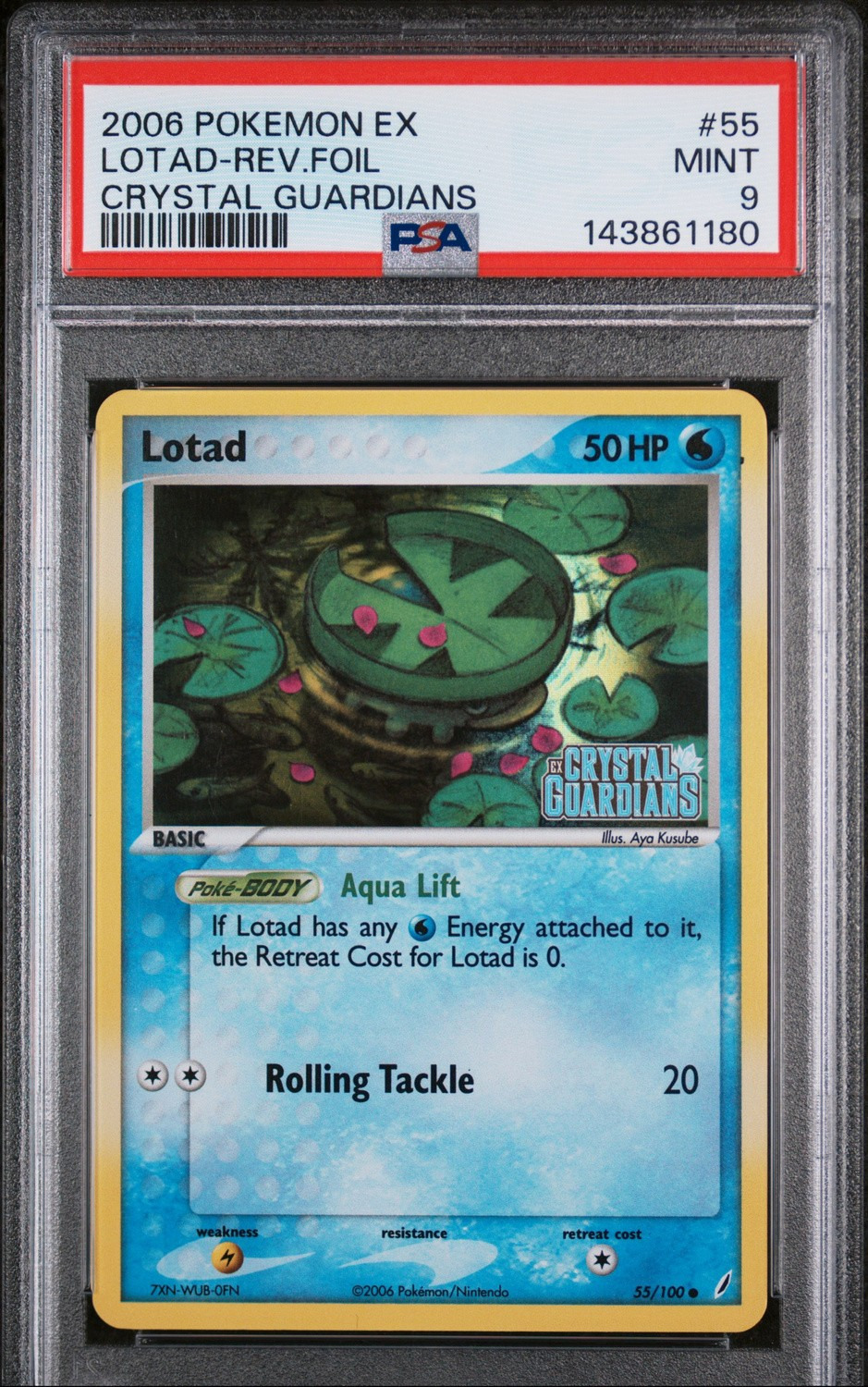 Lotad