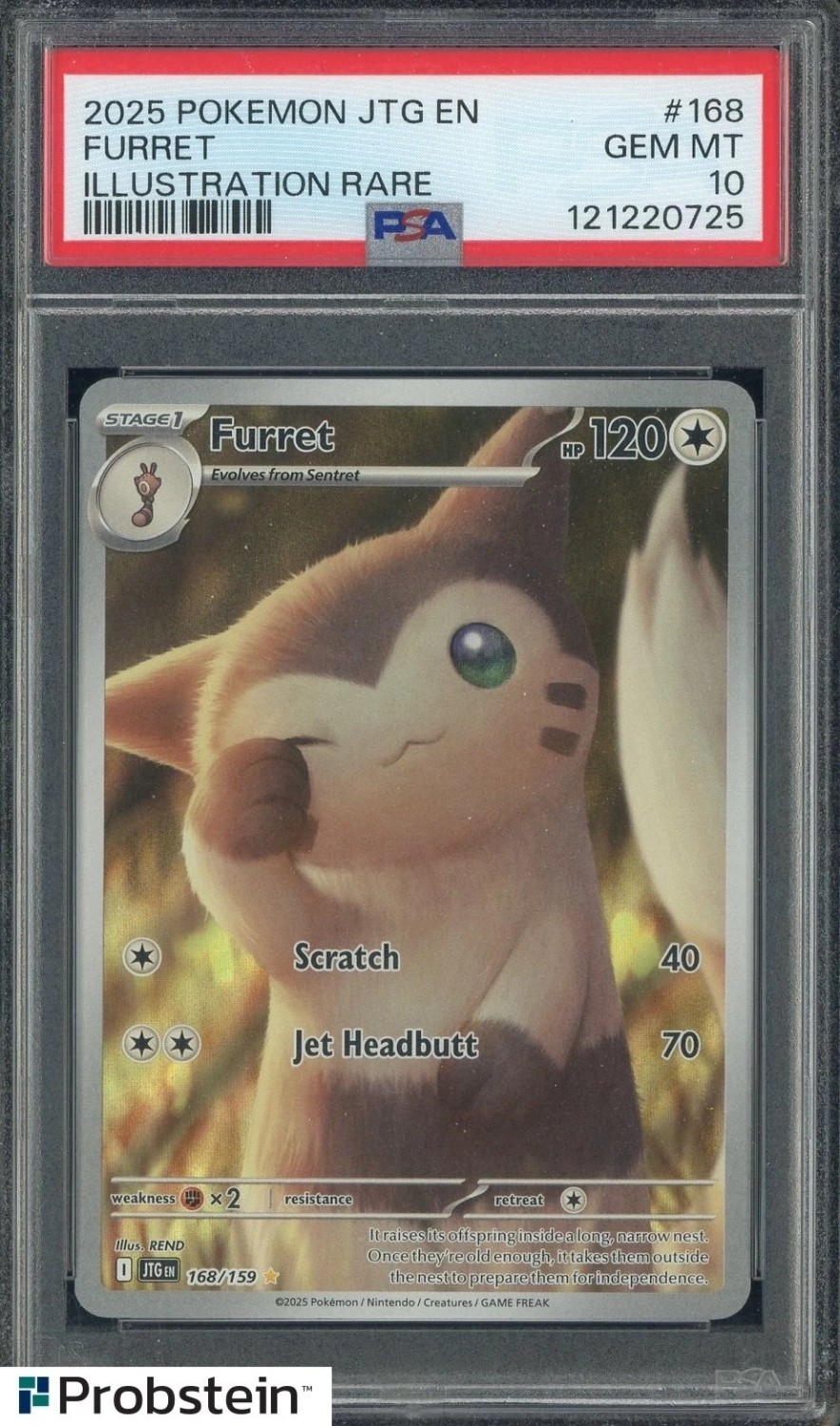 Furret