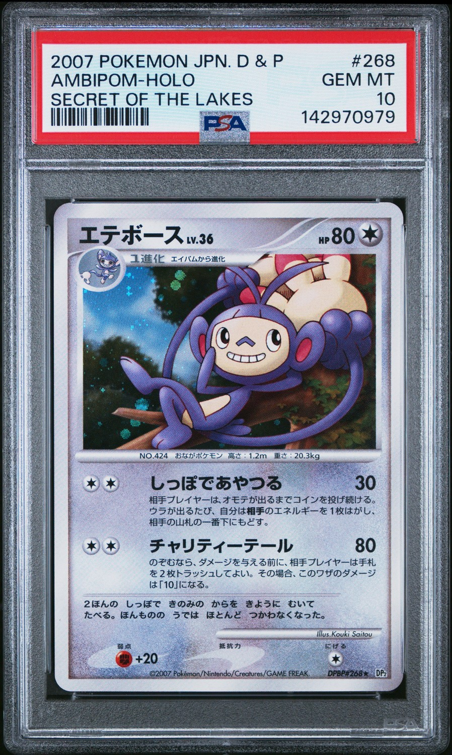 Ambipom