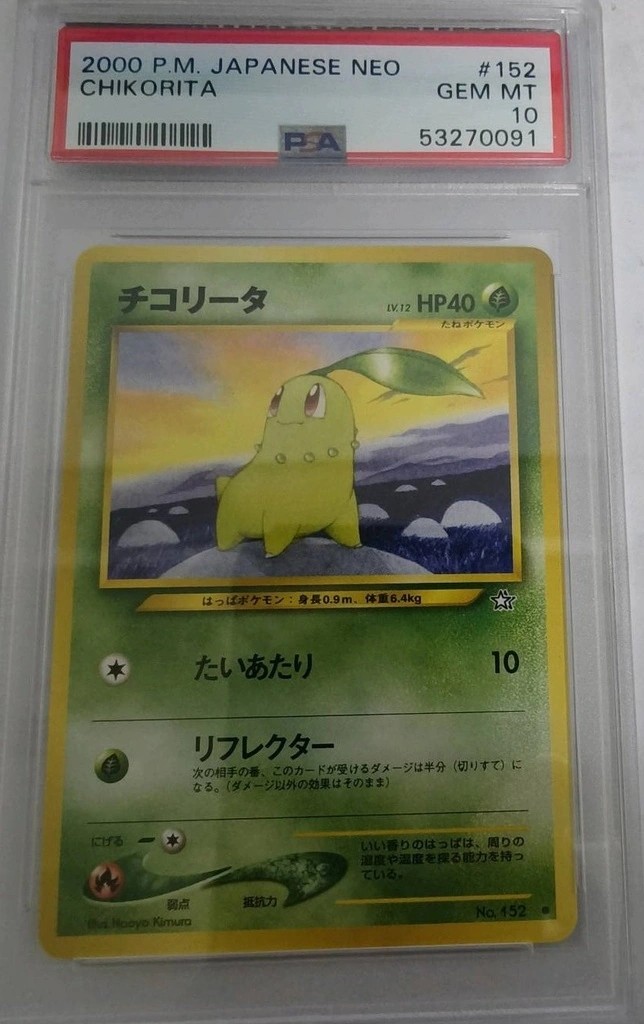 Chikorita