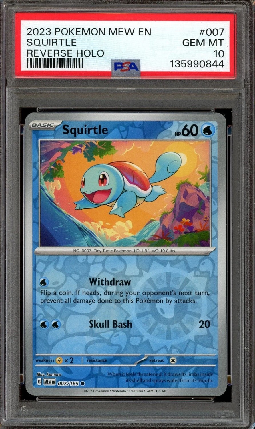 Squirtle