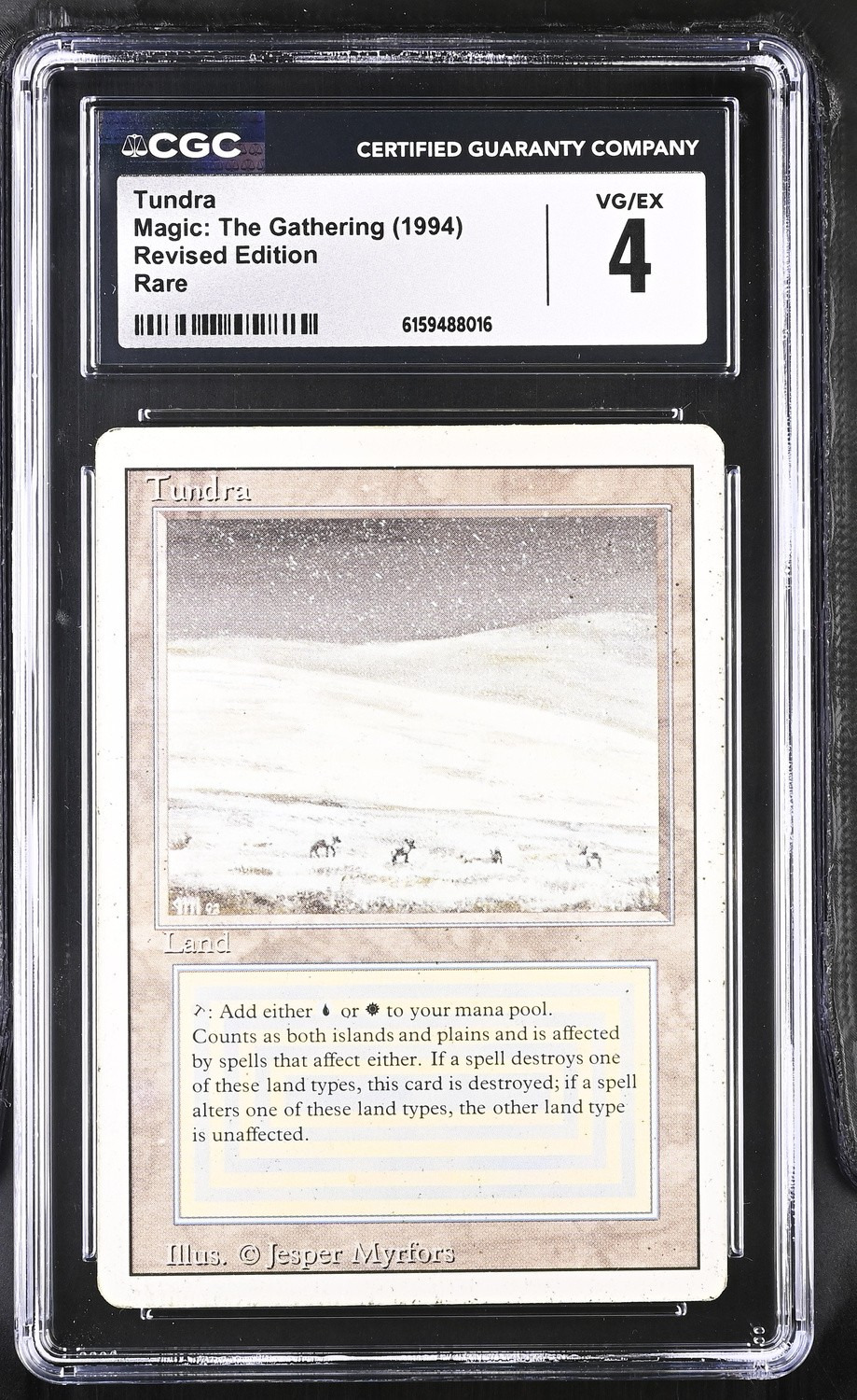 Tundra
