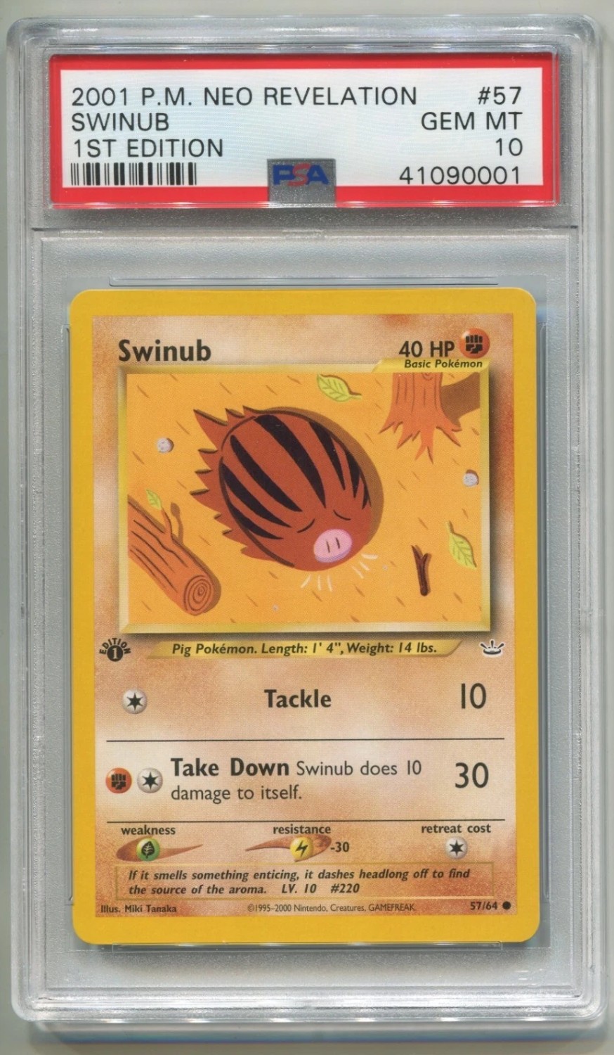 Swinub